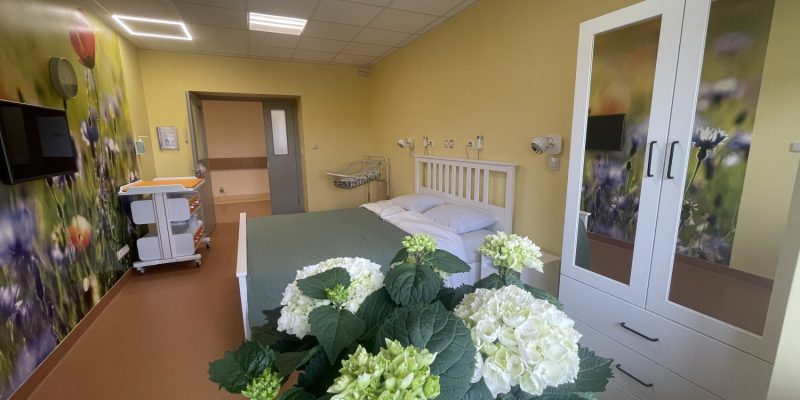 Gaiša dzemdību nodaļas palāta ar dzeltenām sienām un košu ziedu sienas gleznojumu. Istabā ir balta gulta, bērnu pārtinamais galds ar šūpuli un balts skapis ar spoguļdurvīm. Priekšplānā redzams liels hortenzijas pods ar baltiem un gaiši zaļiem ziediem.